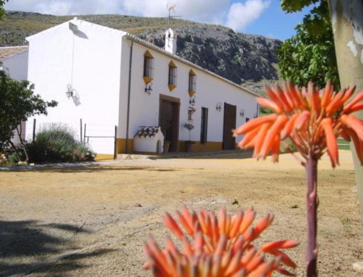 Complejo Cortijo Rural El Puntal Villa Teba Ngoại thất bức ảnh